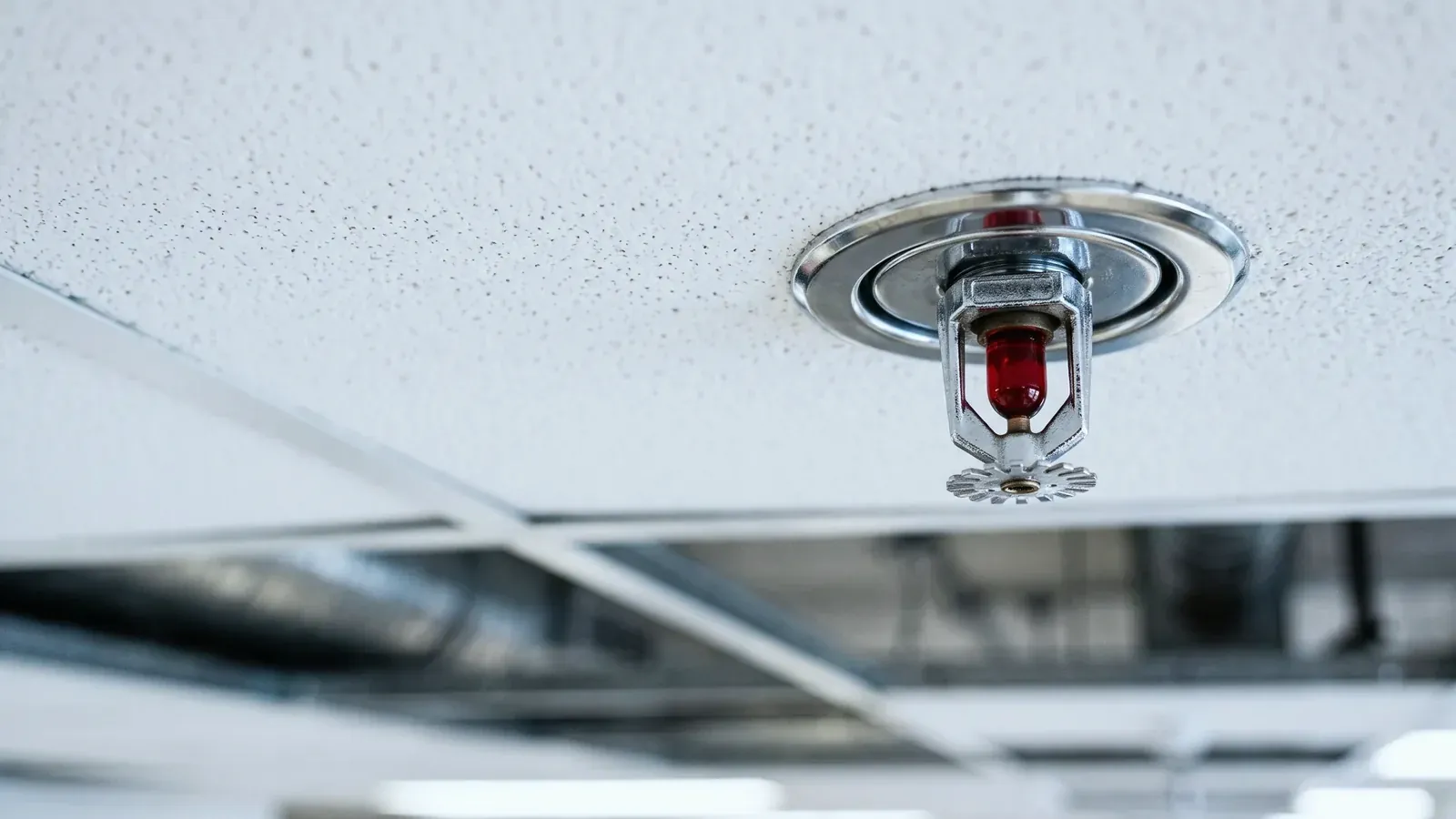 Close view of a pendant fire sprinkler head in a commercial ceiling
